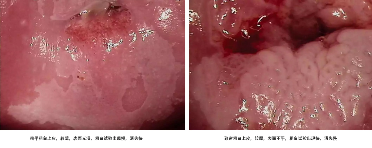 未標(biāo)題-1.jpg