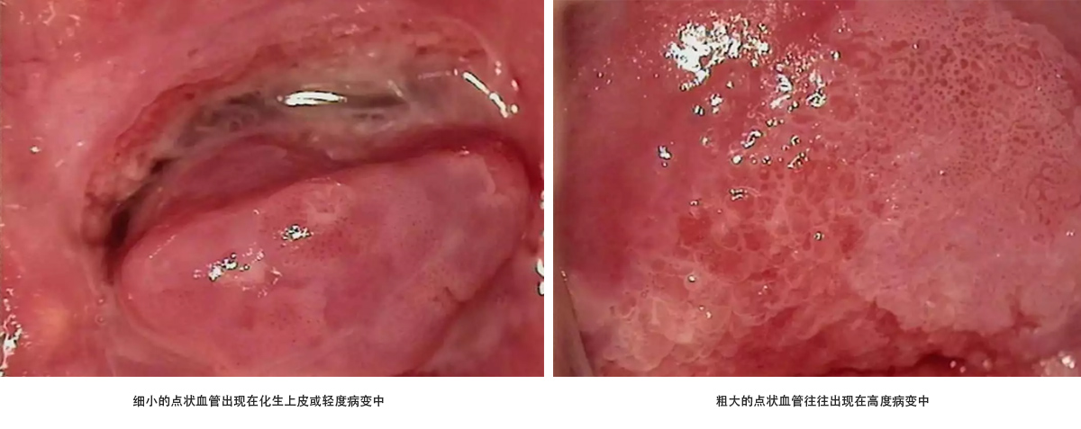 未標(biāo)題-3.jpg