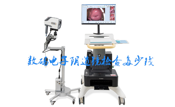 數(shù)碼電子陰道鏡檢查多少錢
