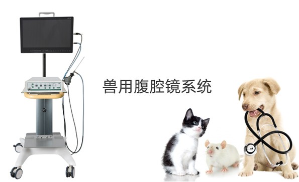 深入了解獸用腹腔鏡配置