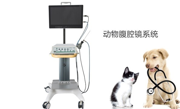 腹腔鏡技術(shù)在寵物疾病診斷中的應(yīng)用